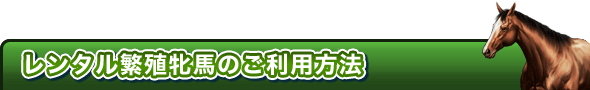 レンタル繁殖牝馬のご利用方法