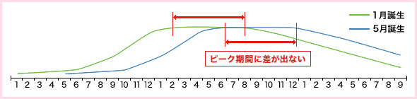 新仕様グラフ