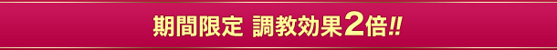 期間限定 調教効果2倍