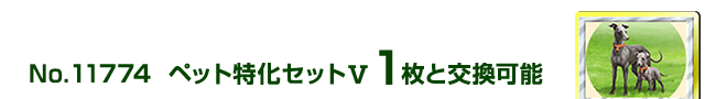 �y�b�g�����Z�b�g�X 1���ƌ����\