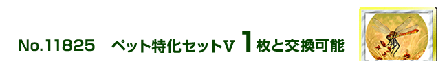 �y�b�g�����Z�b�g�X 1���ƌ����\