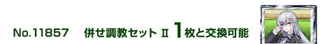 ���������Z�b�g�U 1���ƌ����\